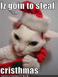 CASTLE is stealing Christmas