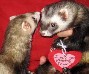 happy valentine's day!